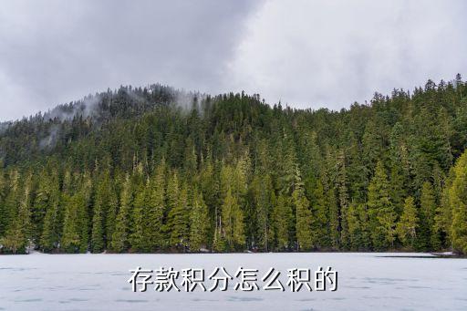存款积分怎么积的