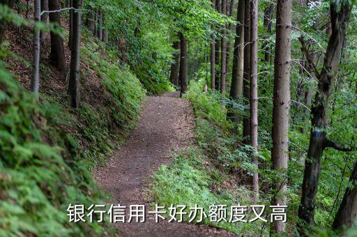 银行信用卡好办额度又高