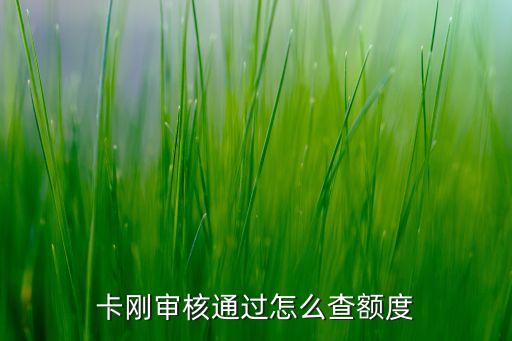 卡刚审核通过怎么查额度