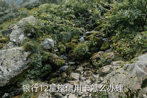 星座白金信用卡申请条件,招商银行白金信用卡申请条件