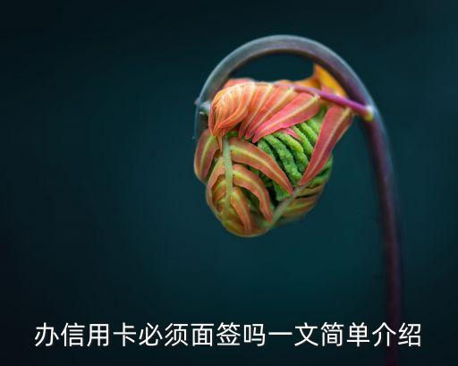 办信用卡必须面签吗一文简单介绍