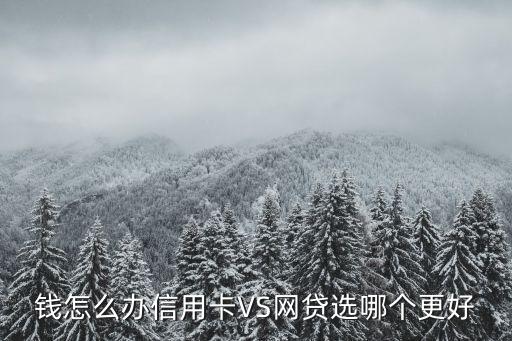 钱怎么办信用卡VS网贷选哪个更好