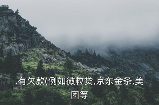 .有欠款(例如微粒贷,京东金条,美团等