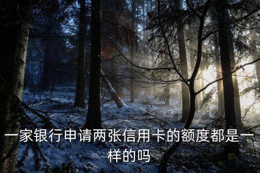 一家银行申请两张信用卡的额度都是一样的吗