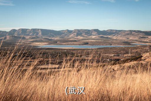 (武汉