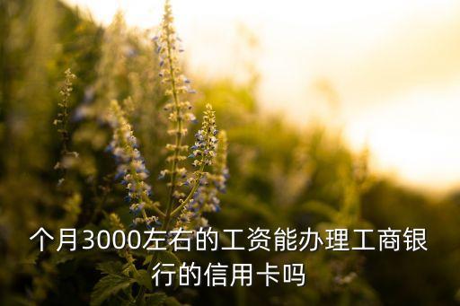 个月3000左右的工资能办理工商银行的信用卡吗
