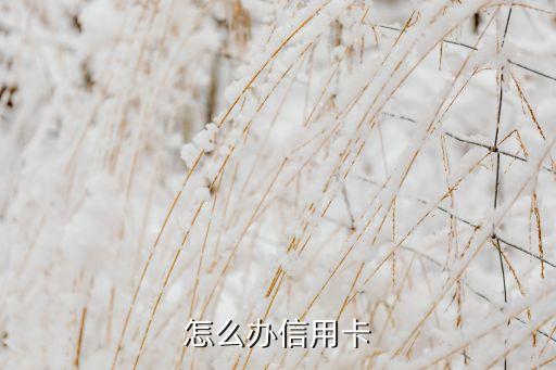 怎么办信用卡