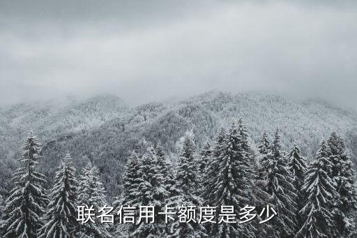联名信用卡额度是多少