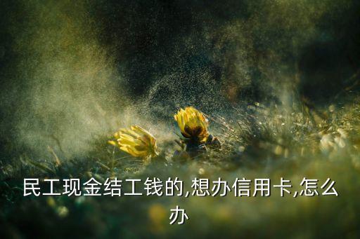 民工现金结工钱的,想办信用卡,怎么办
