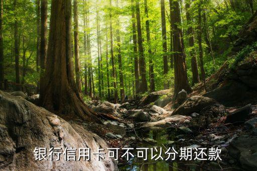银行信用卡可不可以分期还款