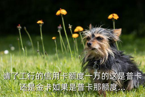 请了工行的信用卡额度一万的这是普卡还是金卡如果是普卡那额度...