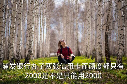 浦发银行办了两张信用卡而额度都只有2000是不是只能用2000
