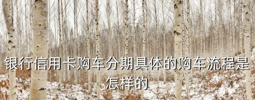 银行信用卡购车分期具体的购车流程是怎样的