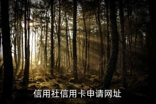 信用社信用卡申请网址