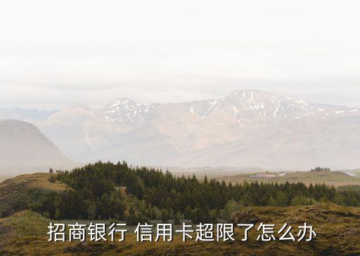 招商银行信用卡没刷过额度