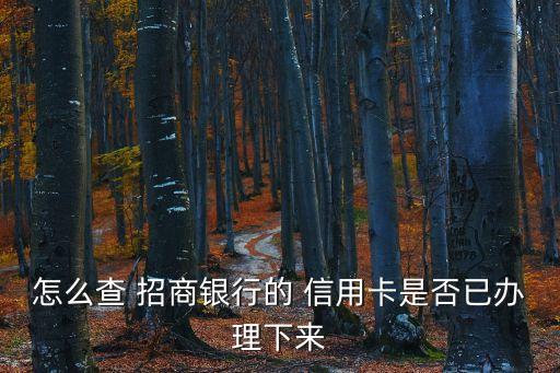怎么看招商信用卡申请记录,招商信用卡怎么看还有多少钱要还