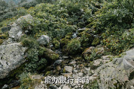 能办银行卡吗