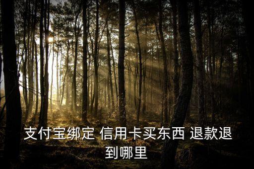  支付宝绑定 信用卡买东西 退款退到哪里