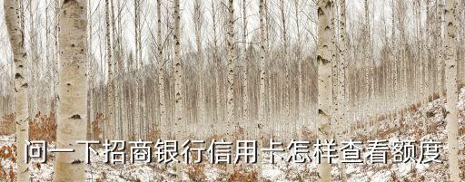 问一下招商银行信用卡怎样查看额度