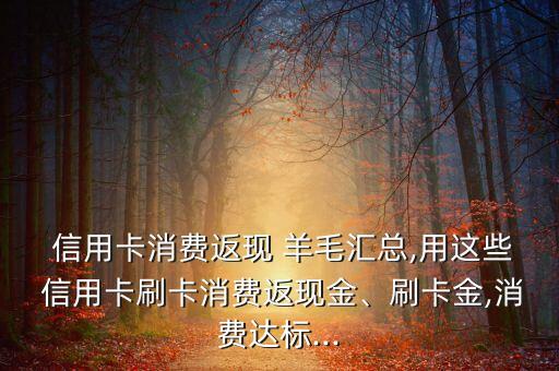  信用卡消费返现 羊毛汇总,用这些 信用卡刷卡消费返现金、刷卡金,消费达标...