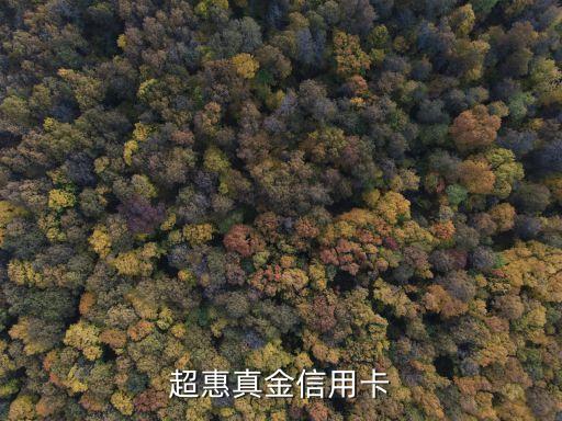 超惠真金信用卡