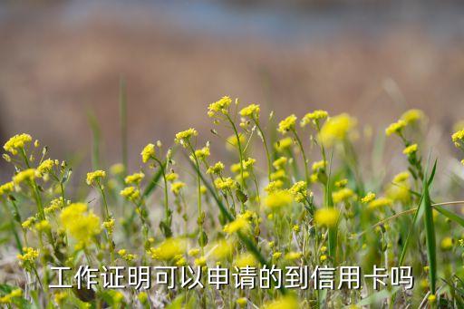 工作证明可以申请的到信用卡吗