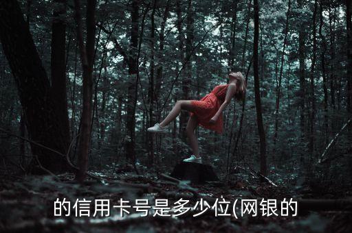 的信用卡号是多少位(网银的