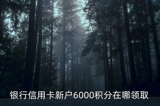 泰隆银行信用卡该办吗,办理泰隆银行信用卡