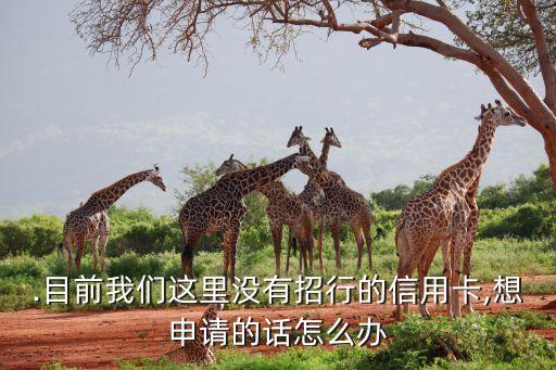 .目前我们这里没有招行的信用卡,想申请的话怎么办