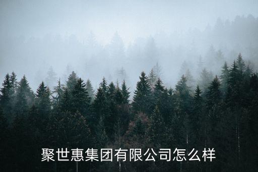 聚世惠集团有限公司怎么样
