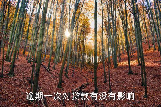 逾期一次对贷款有没有影响