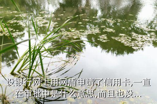 建行信用卡网盾申请要多久,中国建设银行网上信用卡