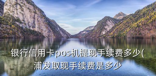 浦发银行信用卡卡面DIY服务费,浦发信用卡有年费吗