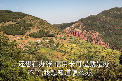...还想在办张 信用卡可是就是办不了,我想知道怎么办,