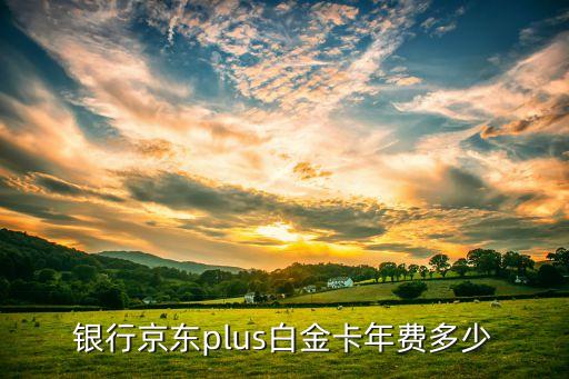 银行京东plus白金卡年费多少