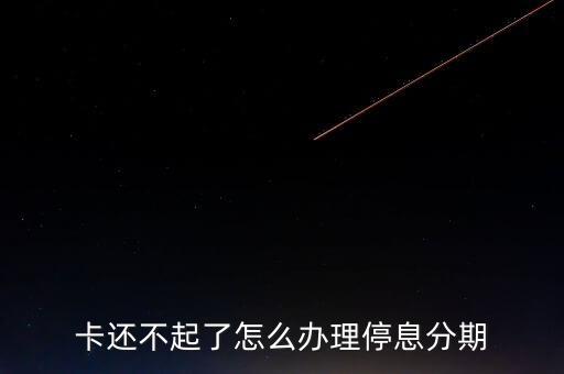 卡还不起了怎么办理停息分期