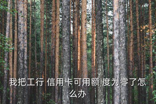 我把工行 信用卡可用额 度为零了怎么办