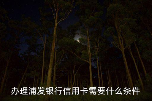 办理浦发银行信用卡需要什么条件