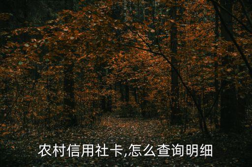 农村商业银行信用卡云账单,江苏农村商业银行流水账单