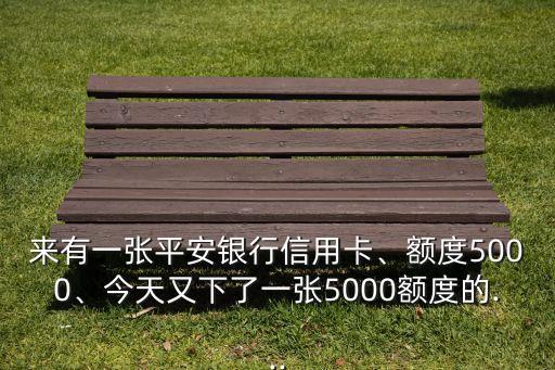 来有一张平安银行信用卡、额度5000、今天又下了一张5000额度的...