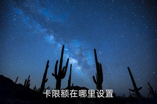卡限额在哪里设置