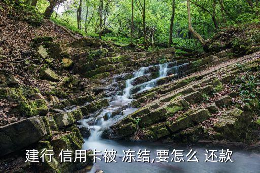 信用卡被双向冻结怎么还款,冻结信用卡还能还款吗