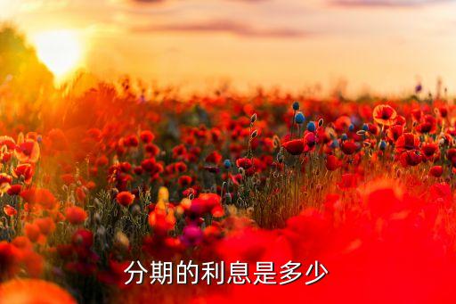 分期的利息是多少