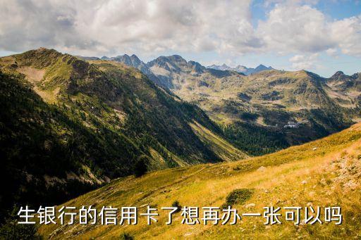 生银行的信用卡了想再办一张可以吗