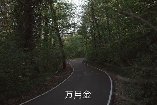 万用金的信用卡额度,数字金卡额度