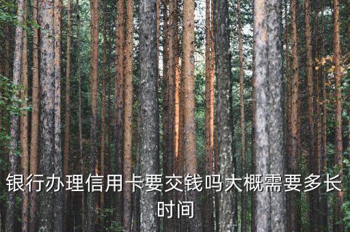 北京银行信用卡办理信用卡,光大银行申请了一张信用卡