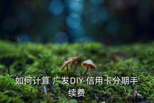 广发信用卡diy卡可以分期吗