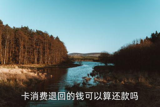 卡消费退回的钱可以算还款吗