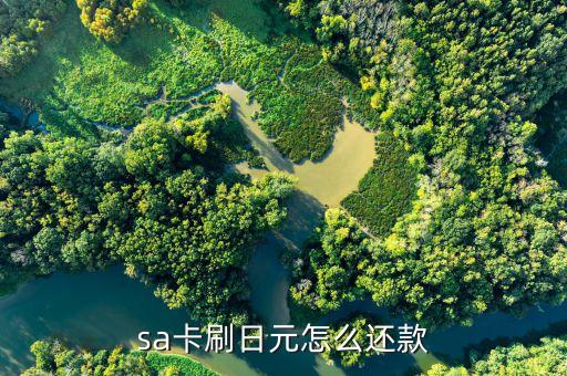 日本信用卡还款如何交,信用卡还款有手续费吗