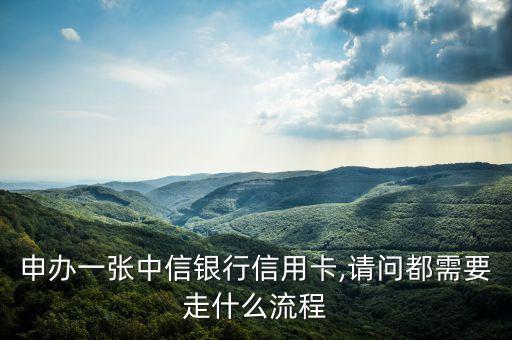 申办一张中信银行信用卡,请问都需要走什么流程